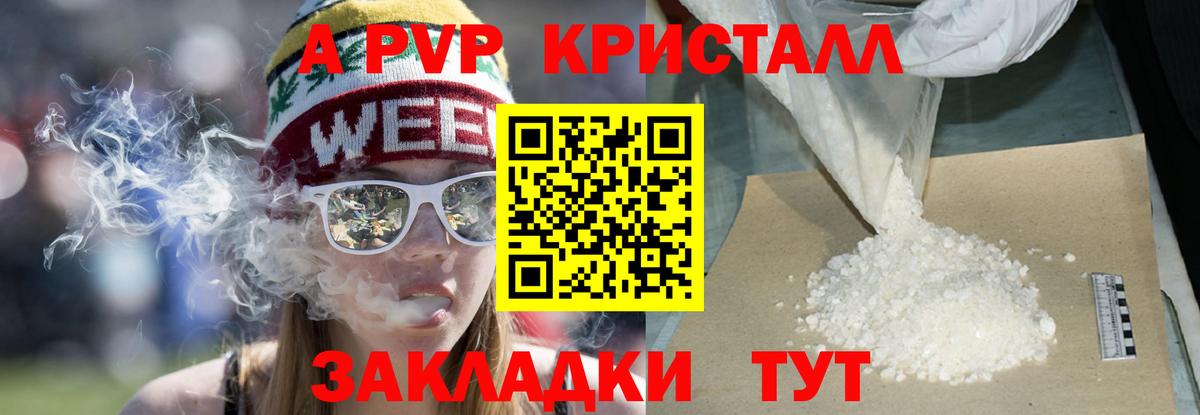 APVP СК Алейск
