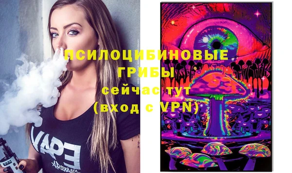 соль курить ск Медвежьегорск