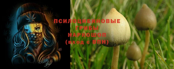 мдпв Медногорск
