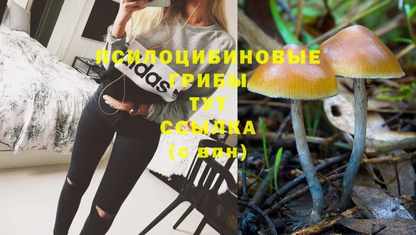 соль курить ск Медвежьегорск
