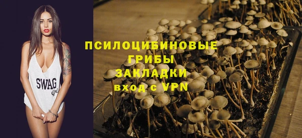 мдпв Медногорск