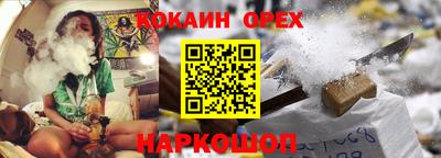 шишки Гатчина
