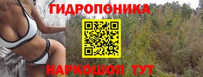 бошки Гай
