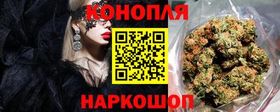 шишки Гатчина
