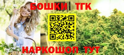 шишки Гатчина