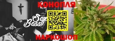 шишки Гагарин