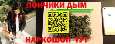шишки Гатчина