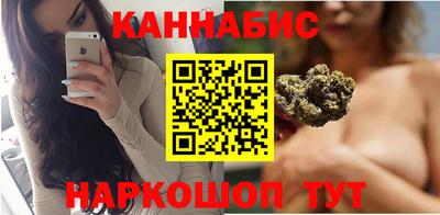 шишки Гатчина