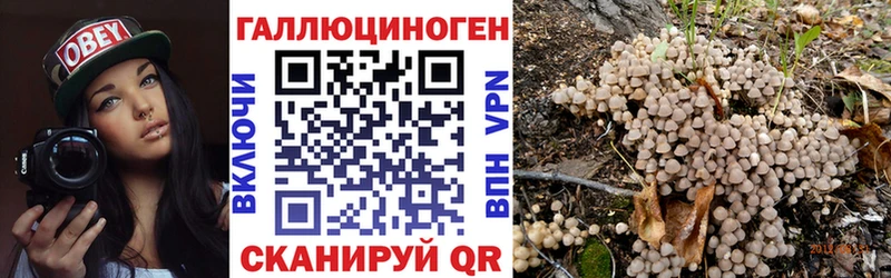 Галлюциногенные грибы ЛСД  Алейск 