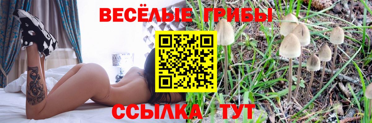 Галлюциногенные грибы MAGIC MUSHROOMS  Вход с VPN  Алейск 