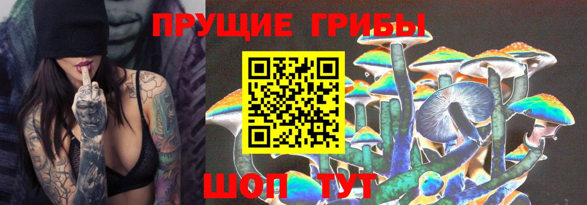 Галлюциногенные грибы мухоморы Алейск