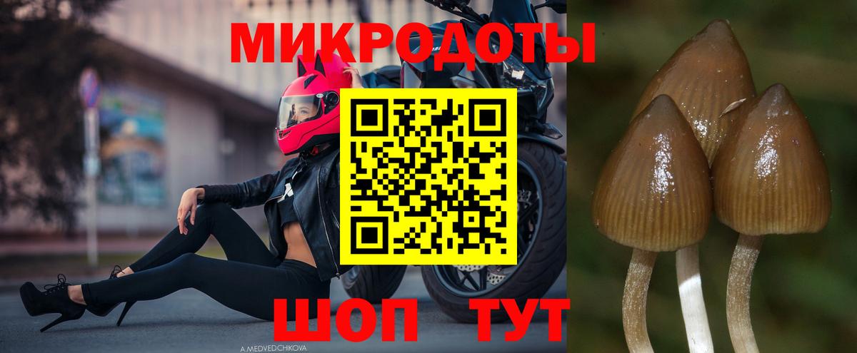 Псилоцибиновые грибы прущие грибы  Вход с VPN  Алейск 