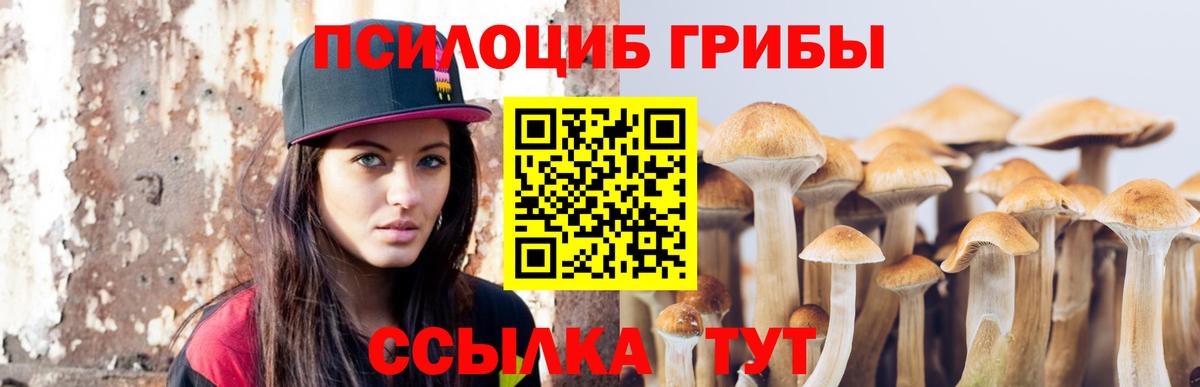 Галлюциногенные грибы мухоморы Алейск